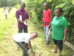 Emancipation countdown: Tree planting marks COFONA 250