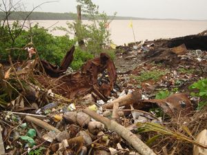 Waste oil in Berbice River killing mangroves, seedlings – beekeeper